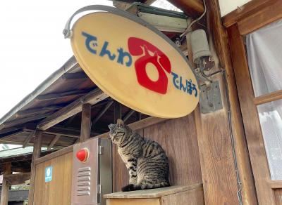 ☆猫撮りの旅 第19弾（名古屋市守山区・ゆとりーとラインで行く龍泉寺）