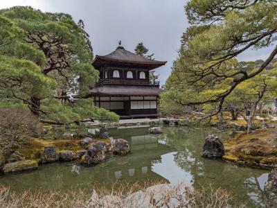 春旅 京都旅行