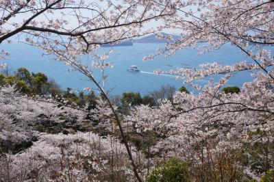 広島県内花見の隠れスポット競演～遊学の森広島県緑化センターVS正福寺山公園　ついでにおまけの江波山公園ヒロシマエバヤマザクラです～