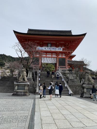終わりよければ全てよし。の京都桜見物