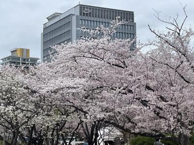 舞鶴公園