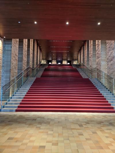 やっとライブ 「君と歩いた青春」