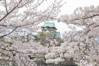 水都大阪の桜巡りに行ってきました（大阪城公園＆大川桜クルーズ）！
