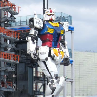 動くガンダム in 横浜☆山手でドライフラワー展、中華街で海老ワンタン♪