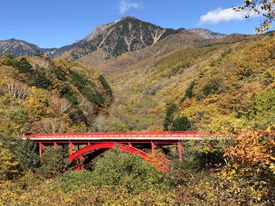 麗しのアルプス、富士山、蓼科、清里　紅葉絵巻　３日目