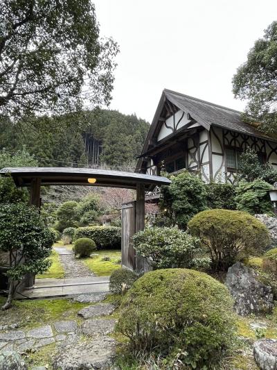 小雨の東吉野、ミツマタの花がきれいでした。