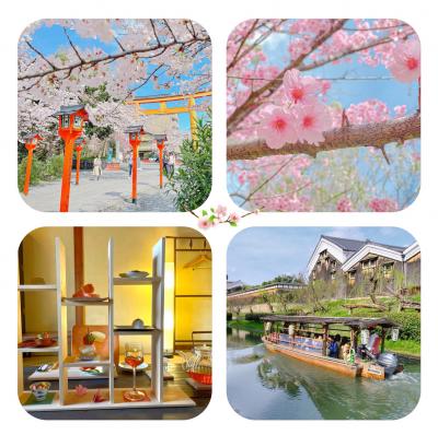 ちょこっと平野神社でお花見＆アフタヌーンティー .:*☆*:. 伏見十石舟の桜風景