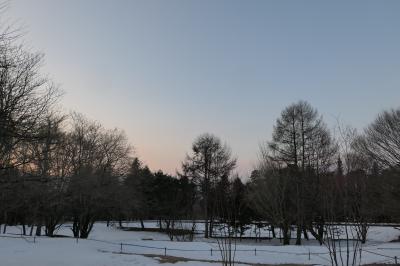 雪の軽井沢　優雅な冬旅♪　Vol.93 ☆ひらまつ・ドッグヴィラスイート　最後の朝風景♪