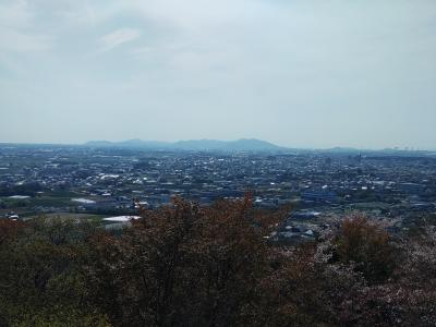 【お散歩テケテケ】ここにもずいぶん登っていないね。<岩屋緑地>