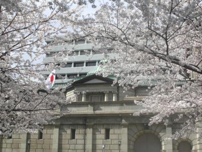 ”江戸桜通り”の花見