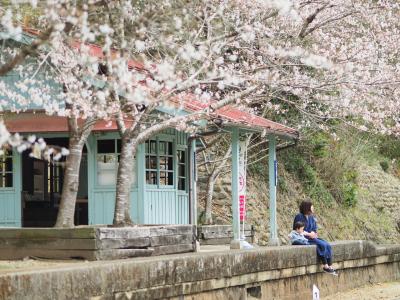 家族と過ごす岡山の春　駅舎に咲く桜