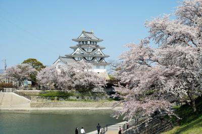 ■ 満開の桜と墨俣一夜城を訪ねる旅 