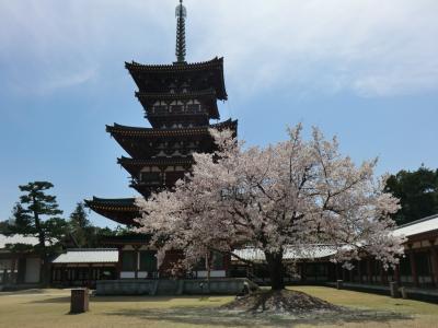 4月の唐招提寺と薬師寺