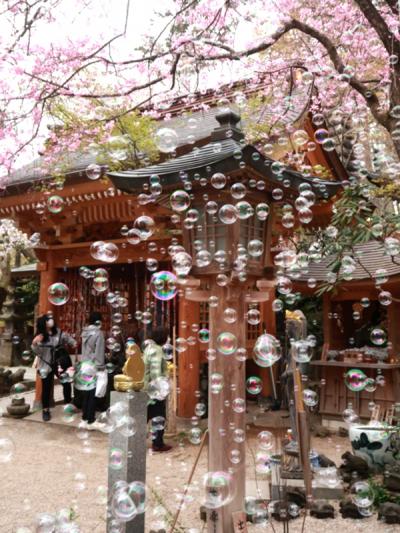 如意輪寺(かえる寺)参拝記