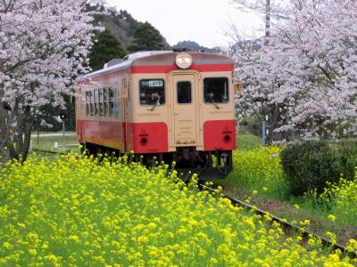 房総半島縦断・ローカル線の旅