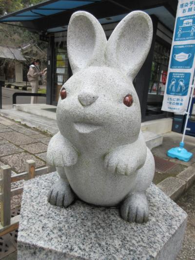 京都へはいつも突然に　今年は冬京都行かないって言ったじゃない～ウサギが沢山