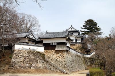 ムラゴンの旅日記　備中松山城へ