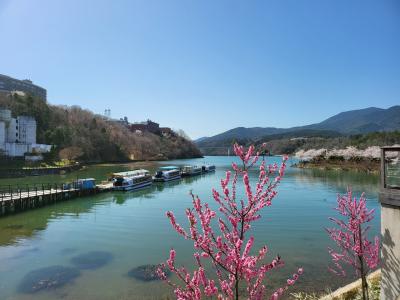 桜の恵那峡