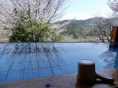 吉野山の大自然 & 桜を湯舟から一望！【絶景インフィニティ露天風呂】
