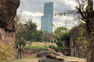 新型コロナが落ち着いてる隙に大阪に行ってきたお話 10 ンザビ国立公園の部