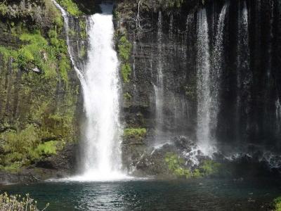 散歩 =白糸自然公園&白糸の滝= 2022.04.05