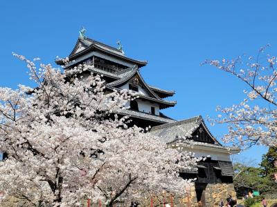 桜満開の鳥取、松江旅行、松江·玉造温泉·出雲大社編
