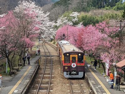 ぐっると１周、わたらせ渓谷鐵道トロッコわっしー号から東武日光SLふたらへの鉄道旅