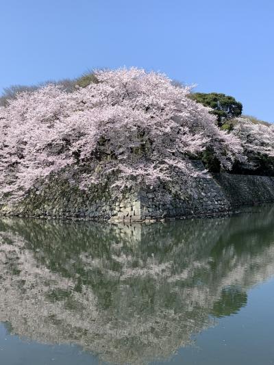 須賀谷温泉　白鷺の湯能登海舟　ホテル＆リゾーツ長浜　千里浜なぎさドライブウェイ　彦根城　彦根美濠の舎！