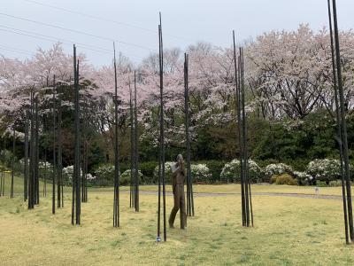 春桜満開の三島へ