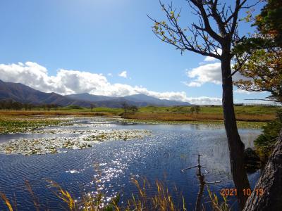 北海道 羅臼 知床 秋満喫旅