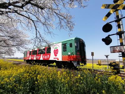 '２２　真岡鉄道 桜さんぽ１　東京～真岡鉄道（西井田駅～北真岡駅まで）