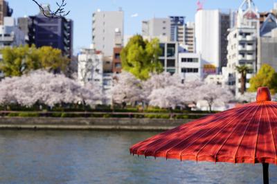 2022　大川のさくら散歩（桜宮橋から天神橋にかけて）