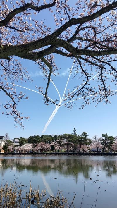 高田城跡公園観桜会