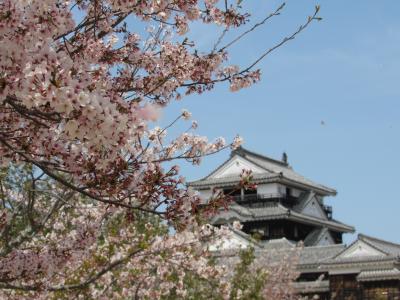 誕生日に松山の旅