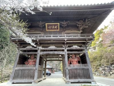 坂東33観音巡り　桜のトンネルをくぐって大平山に。そして満願寺へ