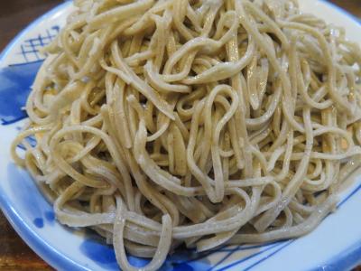 心の安らぎ旅行（2022年4月 ドリカムコンサートで長野入り♪十割そば 須坂 Part2)