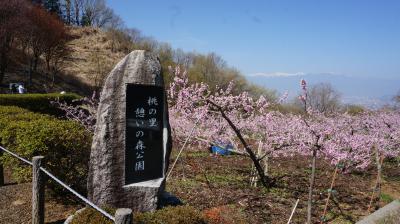 春旅　やまなしグリーンゾーン宿泊割りで桃源郷へ