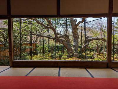 京都・奈良旅行2022’春旅　4日目