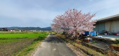 長崎街道完全踏破の旅Part7 中原～神埼～境原～佐賀城下