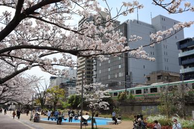 ２０２２年春　大井水神公園の桜