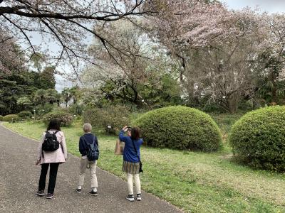 恥ずかしげもなく2回目のオフ会　東京大学　小石川植物園