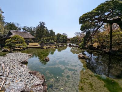 京都・奈良旅行2022’春旅　5日目