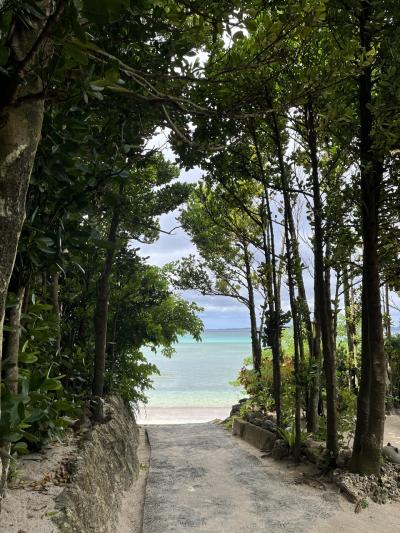 大人女子旅ｉｎ沖縄その２～フクギ並木でちむどんどん