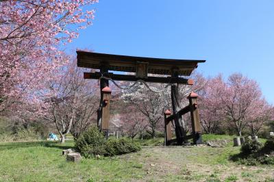 ２０２２　広島・庄原市でお花見ドライブ♪～美しい蘇羅比古神社の桜並木＆庄原・上野公園～