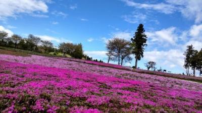 ２０２２年４月　秩父温泉