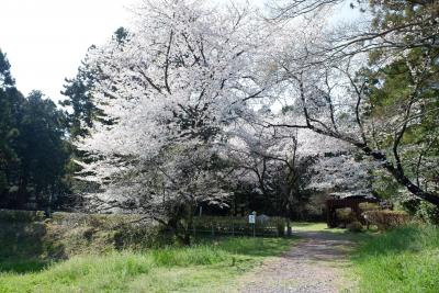 鑁阿寺・箕輪城・高遠城