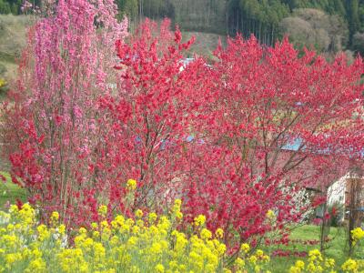 桃源郷＿栃木県那須郡那珂川町健武