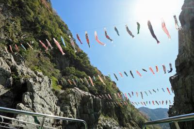 くる～っと３県♪徳島・香川・岡山の旅①大歩危峡遊覧船・祖谷かずら橋・和の宿【ホテル祖谷温泉】