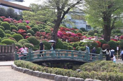 谷根千散策・・春爛漫の根津神社～千駄木～谷中銀座をめぐります。