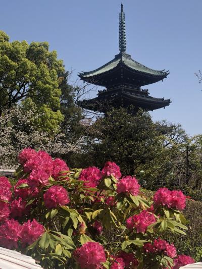 上野公園の美術館、博物館を巡り、都響の演奏会を聴く